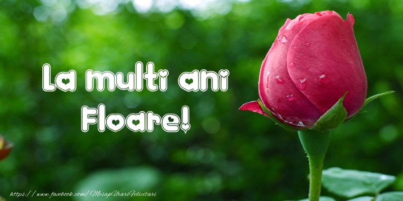 Felicitari de la multi ani - Flori & Lalele | La multi ani Floare!