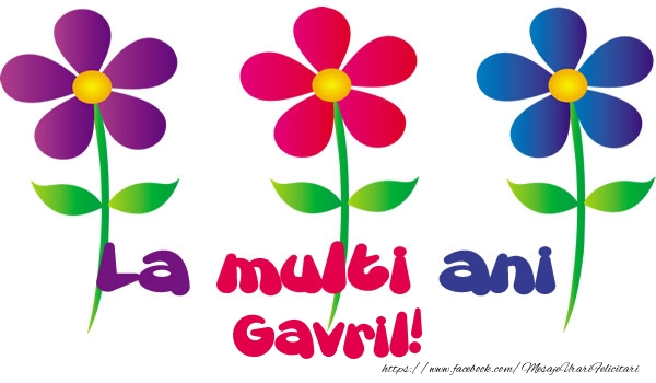Felicitari de la multi ani - La multi ani Gavril!