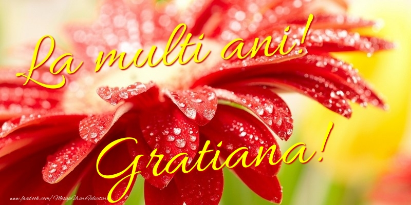 Felicitari de la multi ani - La multi ani! Gratiana