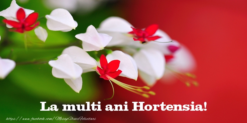 la multi ani hortensia La multi ani Hortensia!