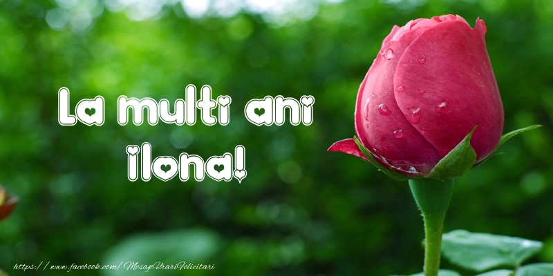 Felicitari de la multi ani - La multi ani Ilona!
