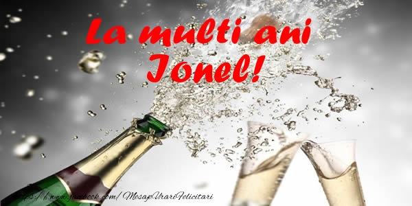 Felicitari de la multi ani - La multi ani Ionel!