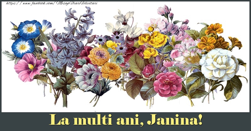 Felicitari de la multi ani - Flori | La multi ani, Janina!