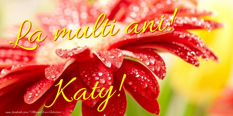 Felicitari de la multi ani - Flori | La multi ani! Katy