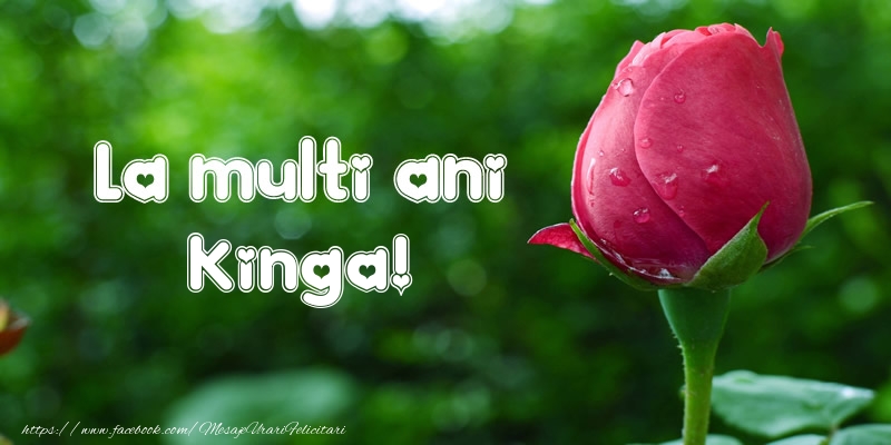 Felicitari de la multi ani - Flori & Lalele | La multi ani Kinga!