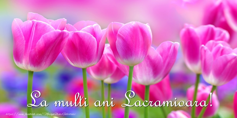 Felicitari de la multi ani - Flori & Lalele | La multi ani Lacramioara!
