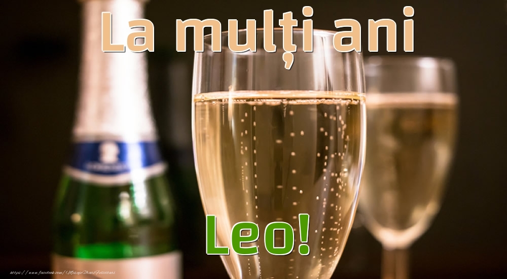 Felicitari de la multi ani - La mulți ani Leo!
