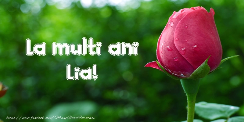 Felicitari de la multi ani - Flori & Lalele | La multi ani Lia!
