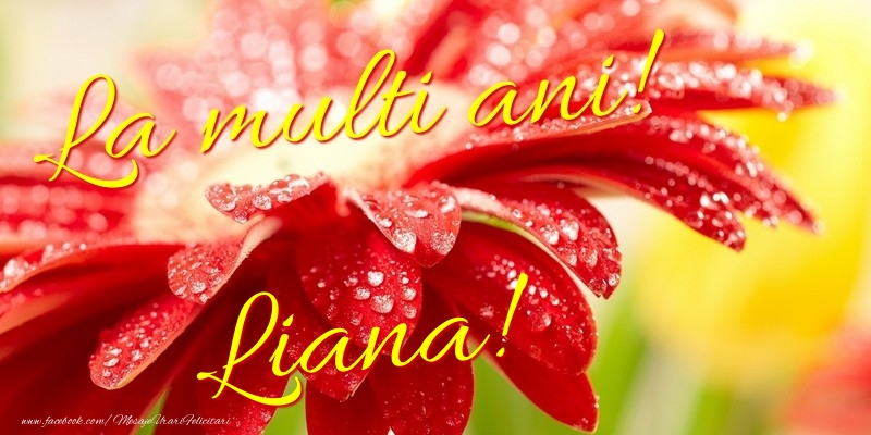 Felicitari de la multi ani - La multi ani! Liana