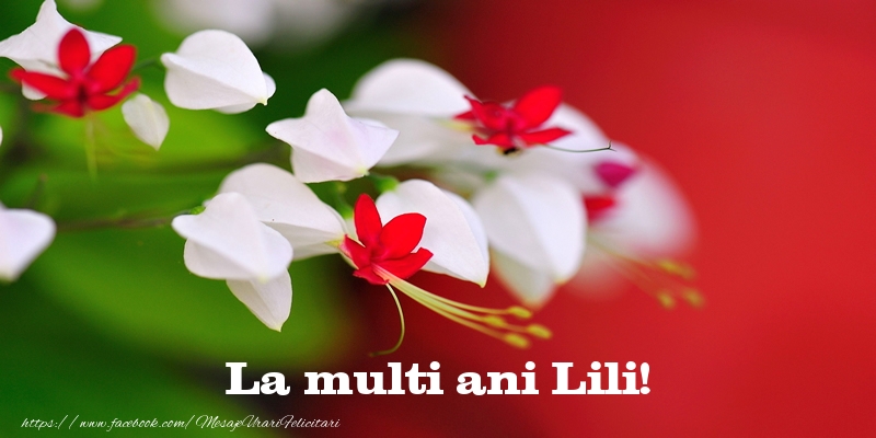  Felicitari de la multi ani - Flori | La multi ani Lili!