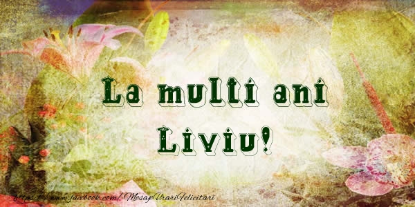 Felicitari de la multi ani - La multi ani Liviu!
