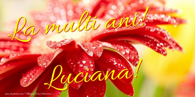 Felicitari de la multi ani - La multi ani! Luciana