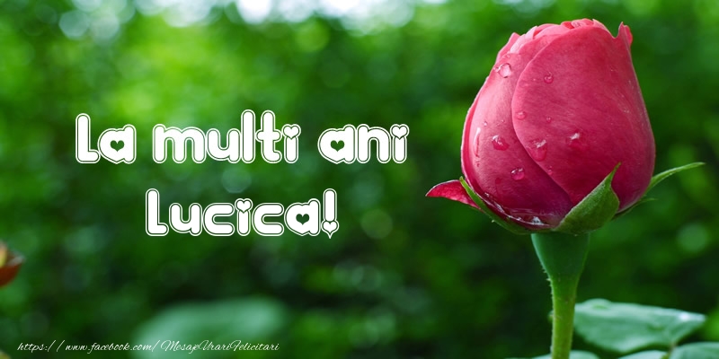 Felicitari de la multi ani - Flori & Lalele | La multi ani Lucica!