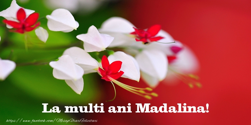 Felicitari de la multi ani - Flori | La multi ani Madalina!