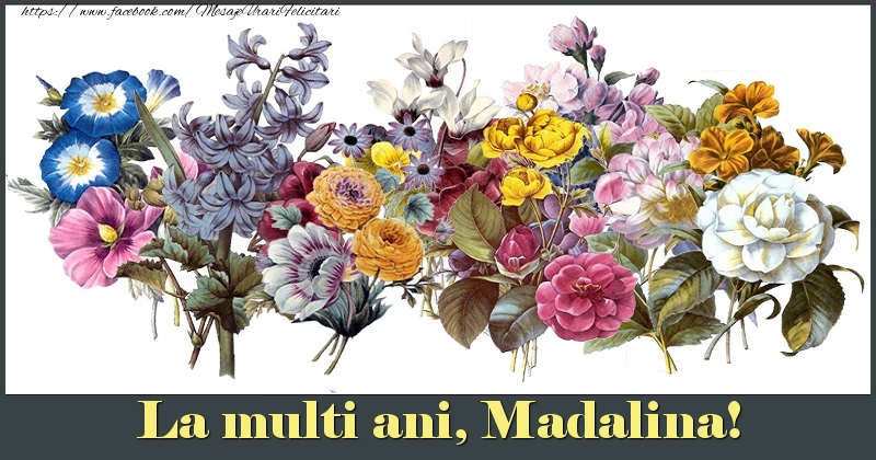 Felicitari de la multi ani - Flori | La multi ani, Madalina!