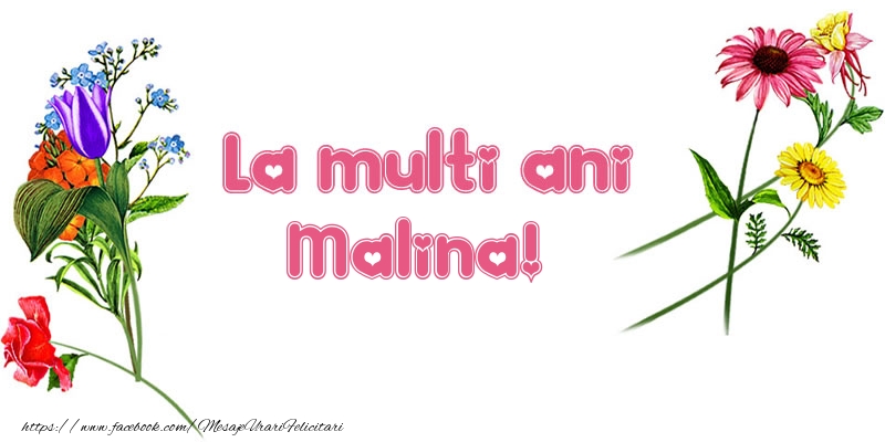 Felicitari de la multi ani - Flori | La multi ani Malina!