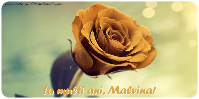 Felicitari de la multi ani - Flori & Trandafiri | La multi ani, Malvina!