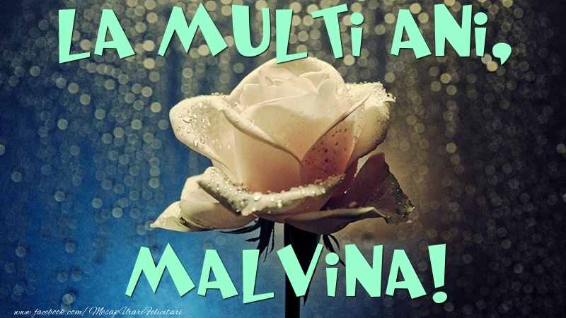 Felicitari de la multi ani - Flori & Trandafiri | La multi ani, Malvina