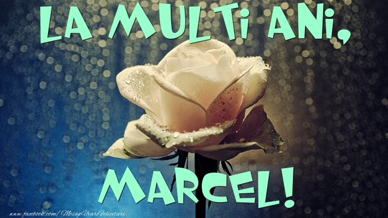 Felicitari de la multi ani - Flori & Trandafiri | La multi ani, Marcel