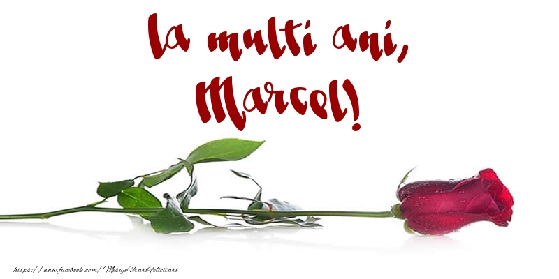 Felicitari de la multi ani - Flori & Trandafiri | La multi ani, Marcel!