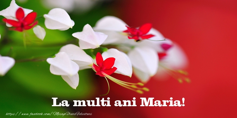 Felicitari de la multi ani - Flori | La multi ani Maria!