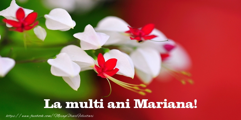 urari de la multi ani mariana La multi ani Mariana!