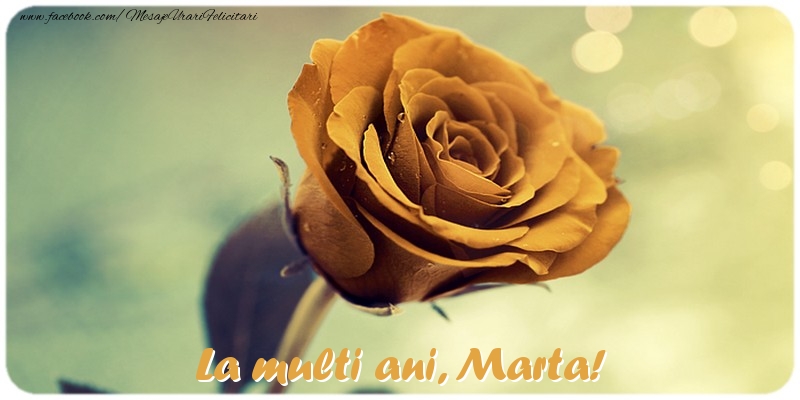 Felicitari de la multi ani - Flori & Trandafiri | La multi ani, Marta!