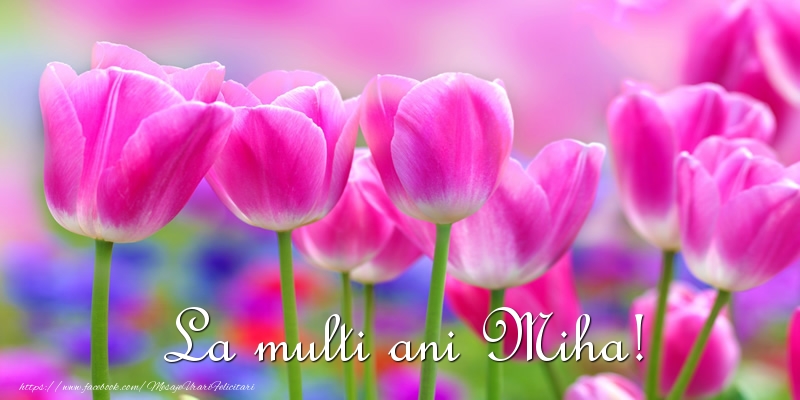 Felicitari de la multi ani - Flori & Lalele | La multi ani Miha!