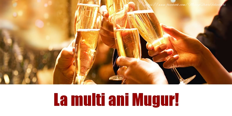 Felicitari de la multi ani - Sampanie | La multi ani Mugur!