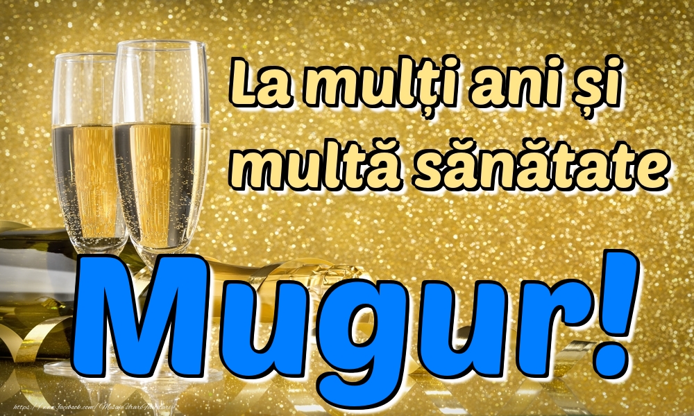 Felicitari de la multi ani - La mulți ani multă sănătate Mugur!