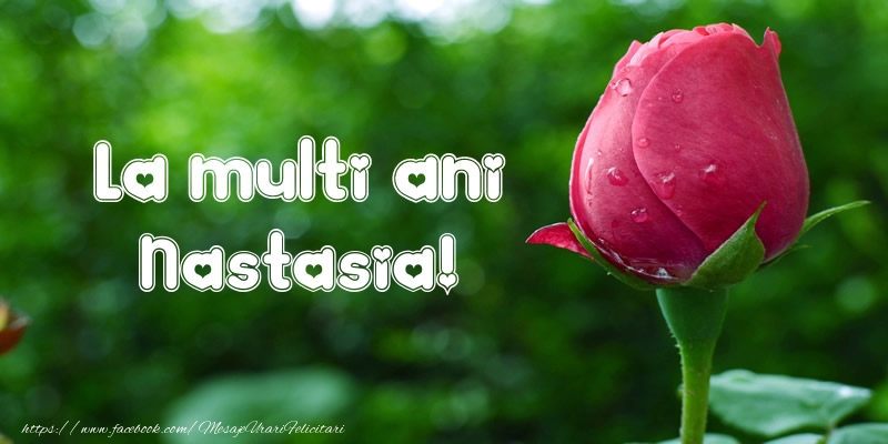 Felicitari de la multi ani - Flori & Lalele | La multi ani Nastasia!