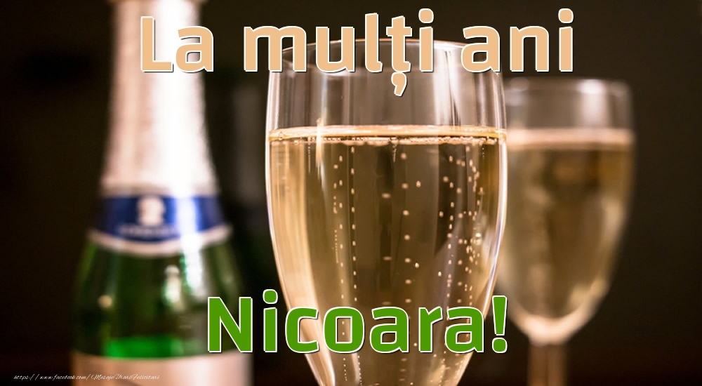 Felicitari de la multi ani - Sampanie | La mulți ani Nicoara!