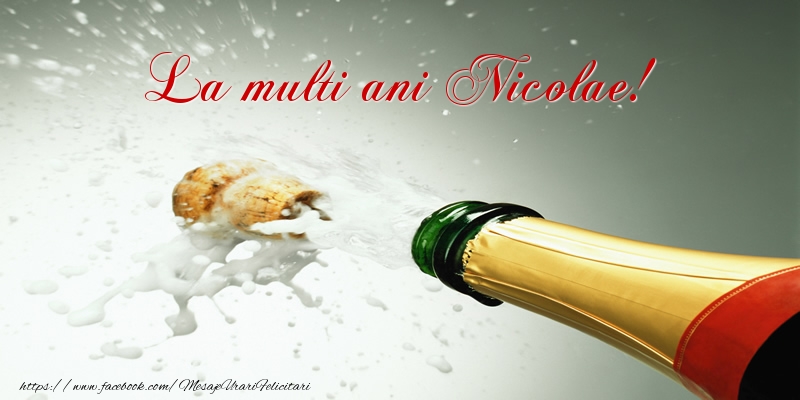 Felicitari de la multi ani - La multi ani Nicolae!