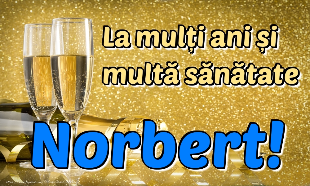 Felicitari de la multi ani - La mulți ani multă sănătate Norbert!