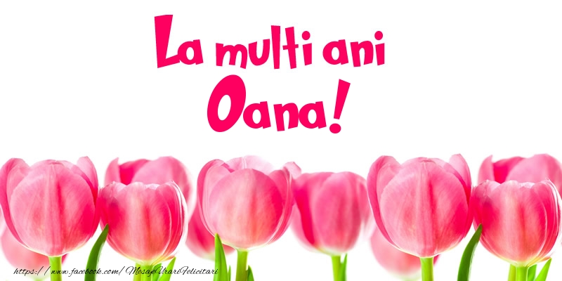 Felicitari de la multi ani - Flori & Lalele | La multi ani Oana!