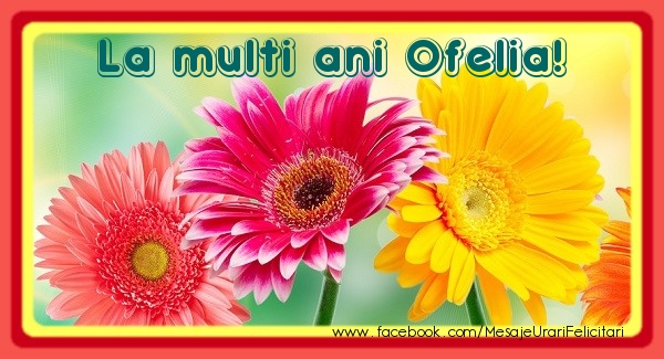  Felicitari de la multi ani - Flori | La multi ani Ofelia!