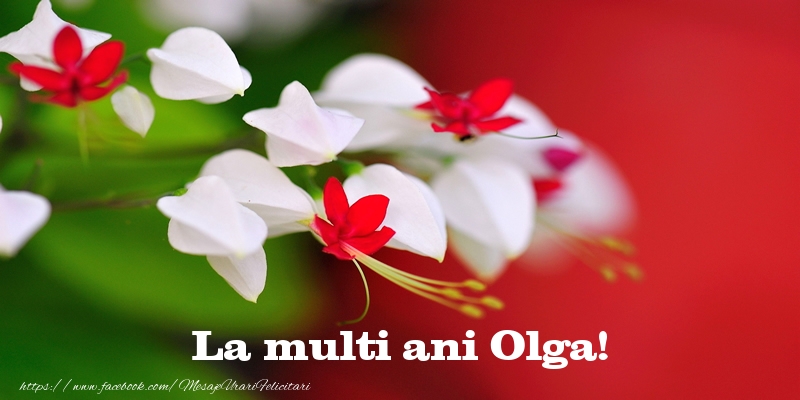 Felicitari de la multi ani - Flori | La multi ani Olga!