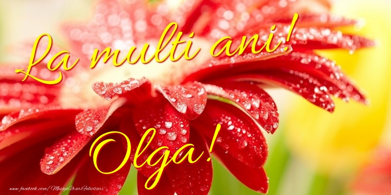 Felicitari de la multi ani - Flori | La multi ani! Olga