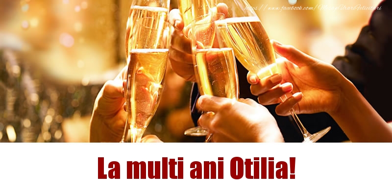 Felicitari de la multi ani - La multi ani Otilia!