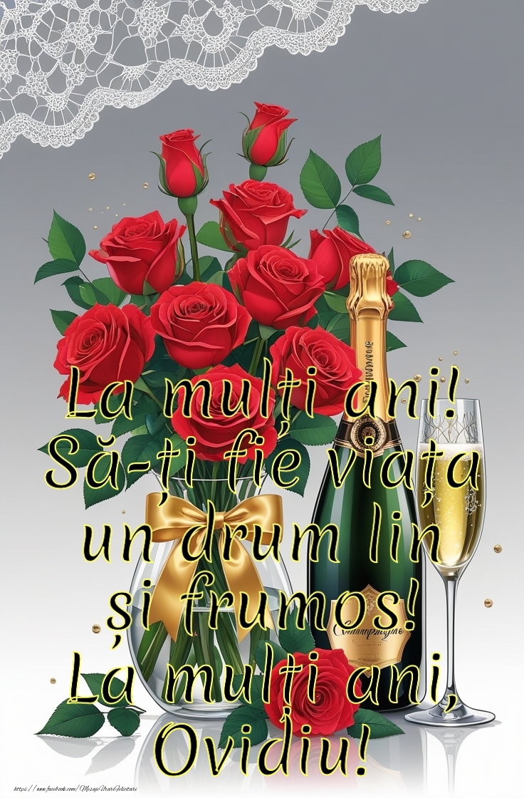 Felicitari de la multi ani - La mulți ani! Să-ți fie viața un drum lin și frumos!