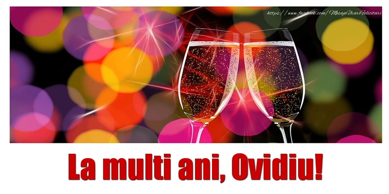 Felicitari de la multi ani - Sampanie | La multi ani Ovidiu!