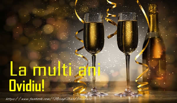 Felicitari de la multi ani - Sampanie | La multi ani Ovidiu!