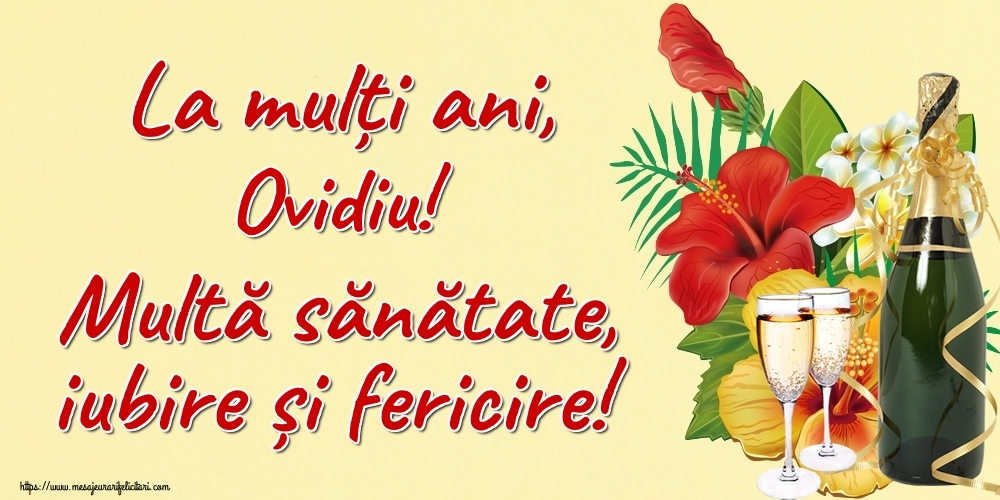Felicitari de la multi ani - La mulți ani, Ovidiu! Multă sănătate, iubire și fericire!