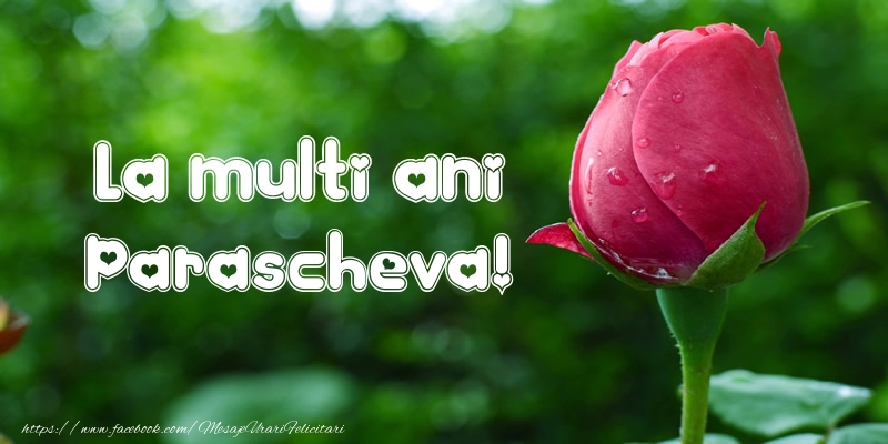 Felicitari de la multi ani - Flori & Lalele | La multi ani Parascheva!