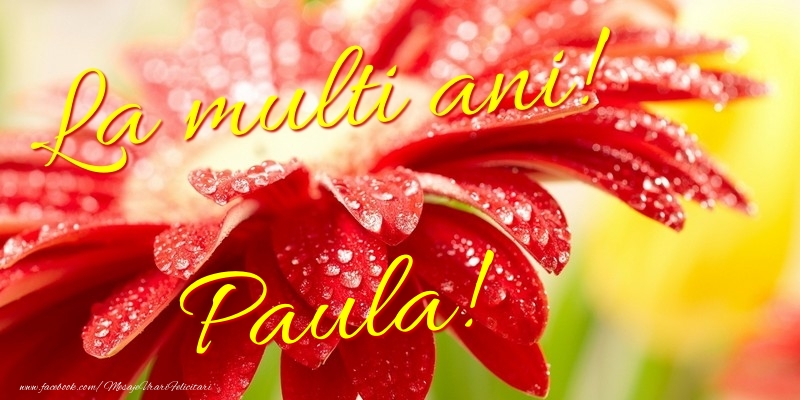 Felicitari de la multi ani - Flori | La multi ani! Paula
