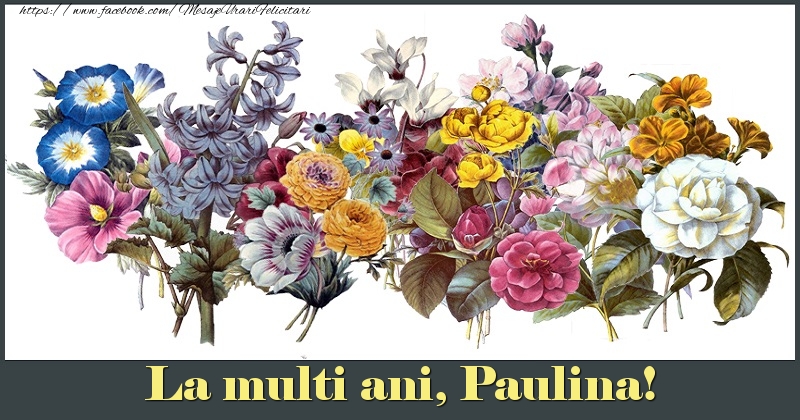 Felicitari de la multi ani - La multi ani, Paulina!