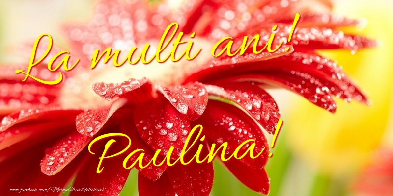 Felicitari de la multi ani - La multi ani! Paulina
