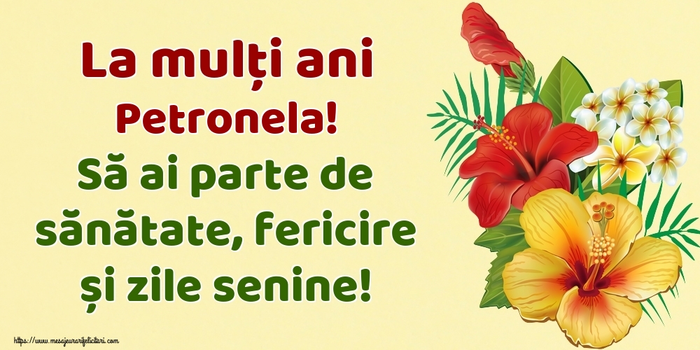 Felicitari de la multi ani - La mulți ani Petronela! Să ai parte de sănătate, fericire și zile senine!
