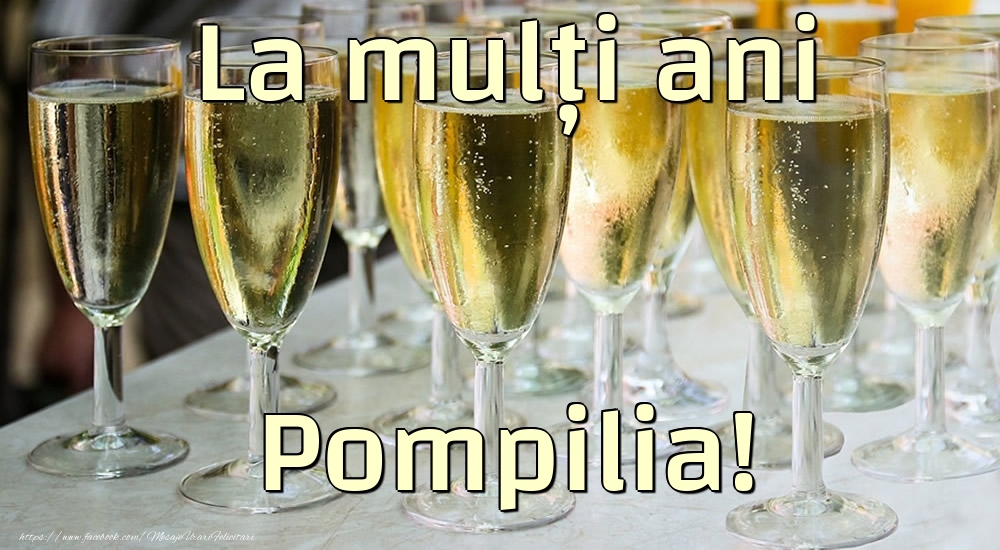 Felicitari de la multi ani - Sampanie | La mulți ani Pompilia!