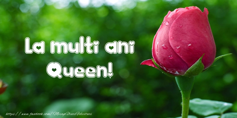 Felicitari de la multi ani - Flori & Lalele | La multi ani Queen!